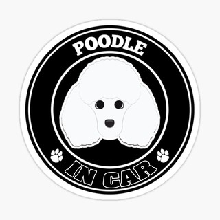 สติ๊กเกอร์ติดรถ แต่งรถ สติ๊กเกอร์ แม่เหล็กติดรถยนตร์ สติ๊กเกอร์หมา Poodle in Car  - DGC33