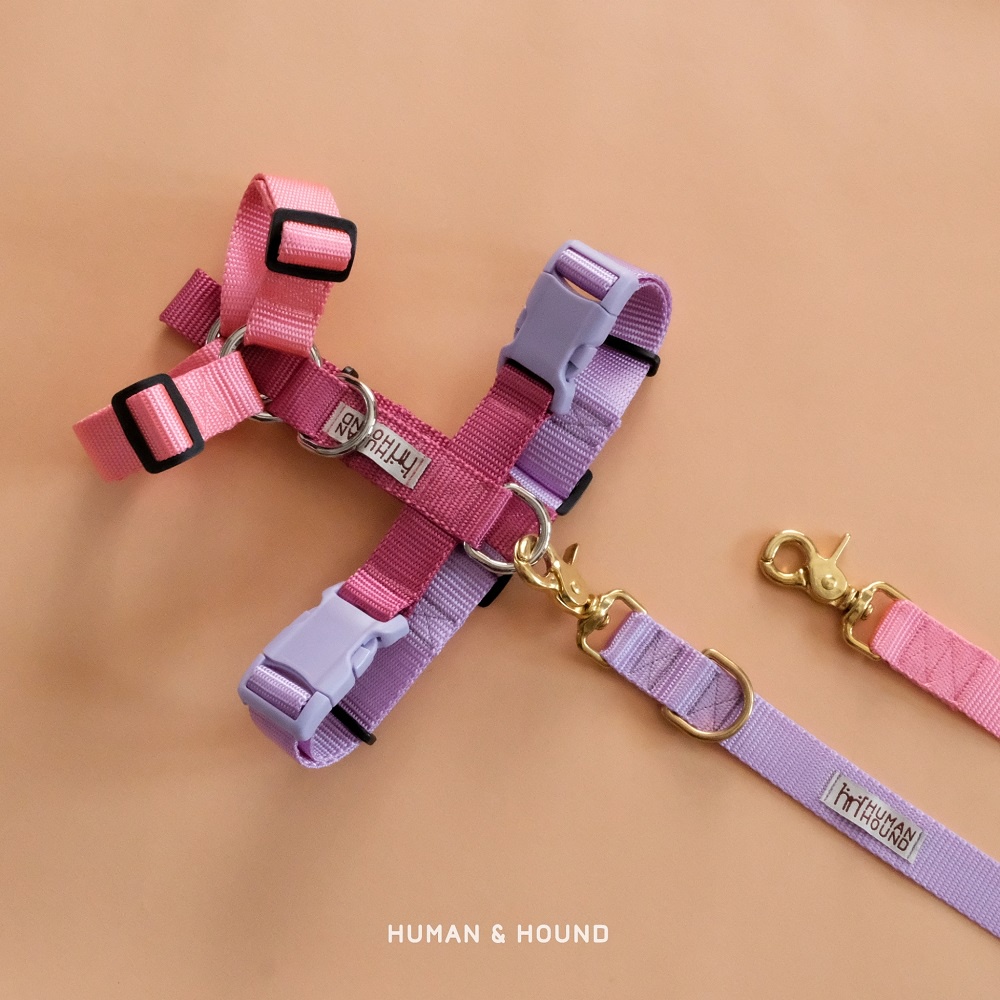 Barbie H-harness สายรัดอกสุนัข Human and Hound รุ่น h-harness ไซส์ XS-L :  สายรัดอกสุนัข สีบาร์บี้ ท