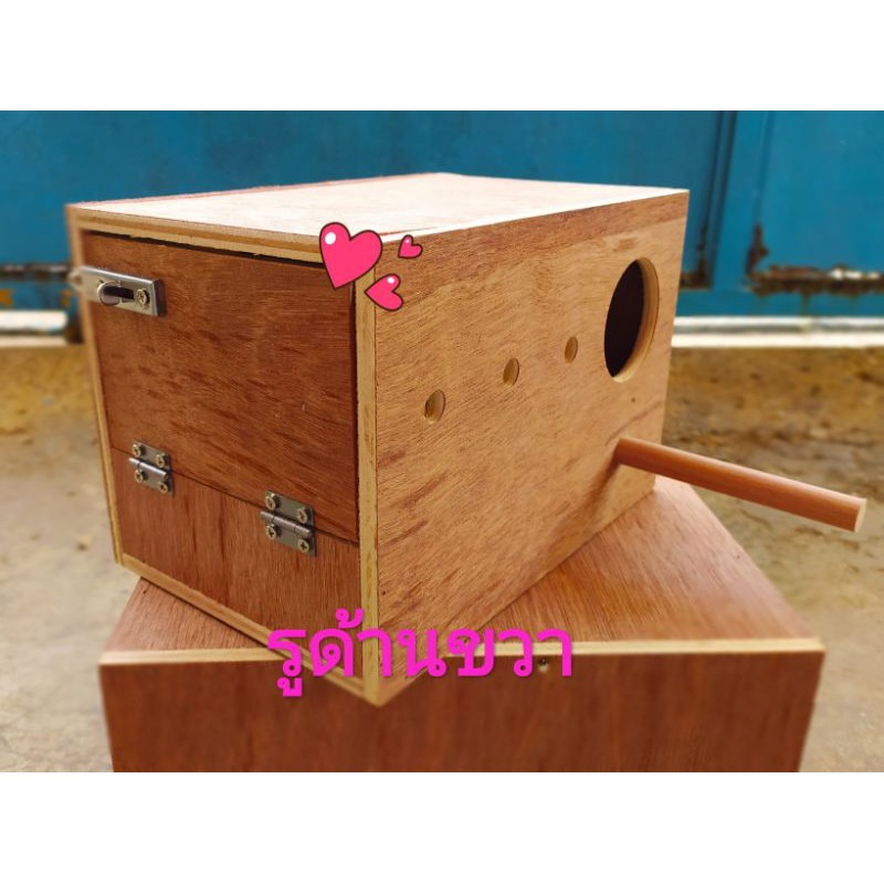 กล่องเพาะนกลังนก4แบบบ้านนกบ้านหนูบ้านกระรอกชูก้า🌟ส่งจริง