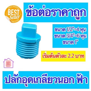 PVC ปลั๊กอุดเกลียวนอก มีขนาด 1/2"=4 หุน 3/4"=6 หุน และ 1 นิ้ว ใช้ได้งานประปาและงานเกษตร สินค้าดีราคาถูก