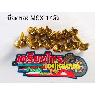 น็อตชุดสีทองทั้งคัน Msx เก่า Msx sfตรงรุ่น 17ตัว