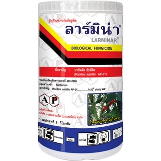 ลาร์มิน่า 500กรัม เชื้อแบคทีเรีย บาซิลลัส ซับทีลีส AP-01 (Bacillus subtilis) เข้มข้น 1x109 cfu/gm