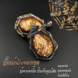 เบี้ยแก้ของแท้ ป้องกันคุณไสยสิ่งอัปมงคลทั้งปวง หลวงพ่อเปิ่นวัดบางพระ แก้ดวงตกชะตาขาด เสริมศิริมงคล สินค้าขายดี