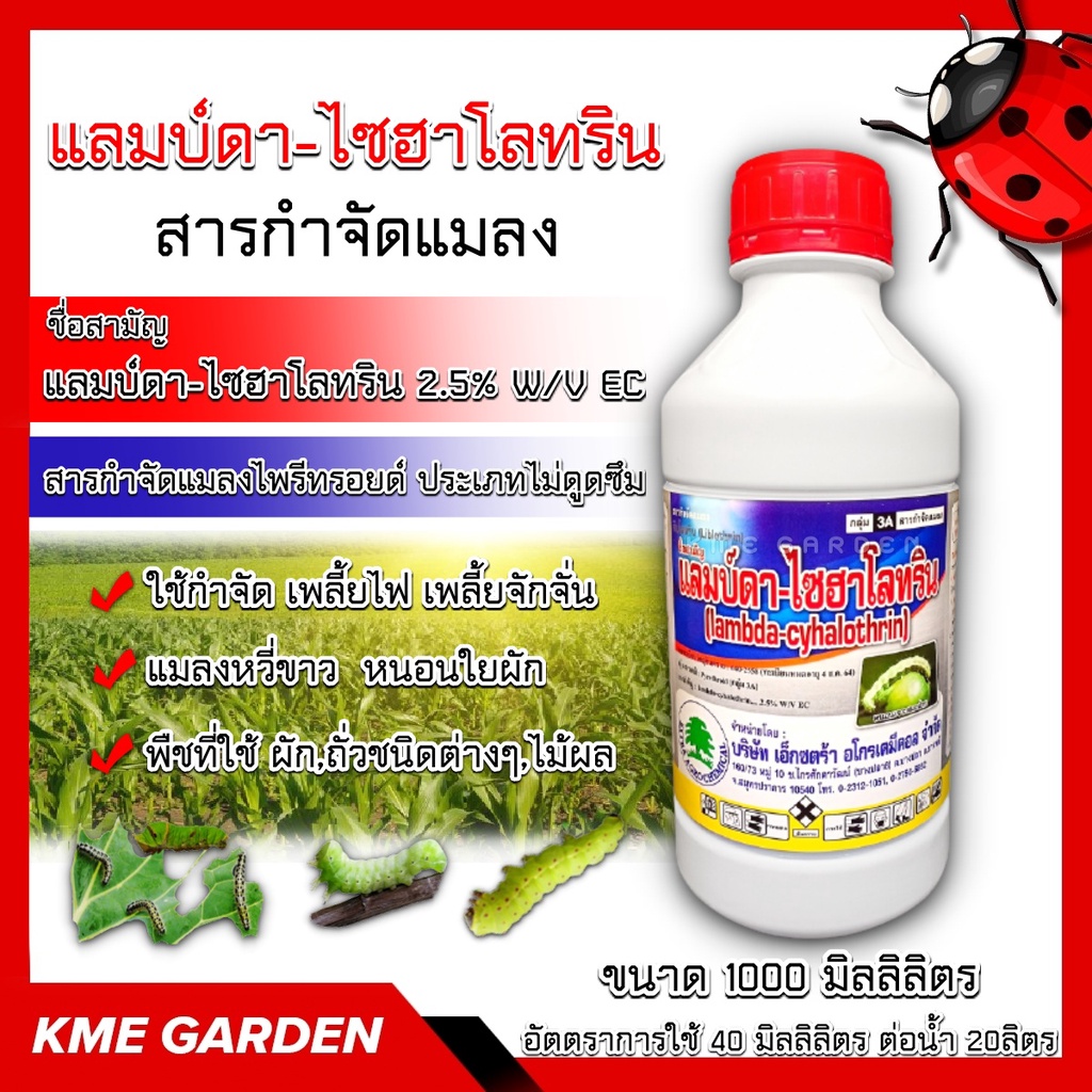 แมลง  แลมบ์ดา-ไซฮาโลทริน ขนาด1 ลิตร ประเภทไม่ดูดซึม ใช้กำจัด เพลี้ยอ่อน เพลี้ยไฟ หนอนใยผัก #ไม่รวมค่าขนส่ง