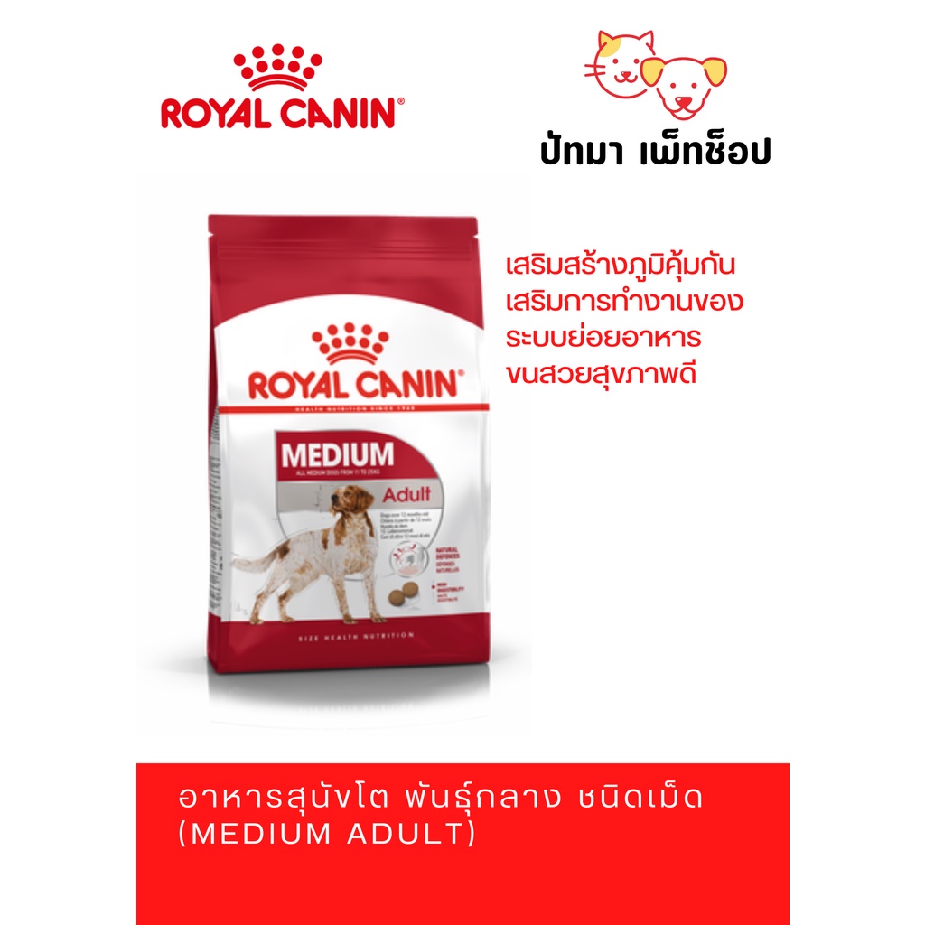 Medium Adult / Royal Canin สุนัขพันธุ์กลาง อายุ 1 ปีขึ้นไป 10 กก.