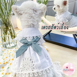 เดรสสัตว์เลี้ยง เดรสแมว ชุดแมว ชุดกระโปรงแมว Off White Pet Dress