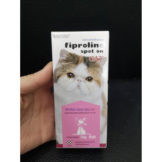 Fiproline Spot On cat ฟิโปรไลน์ ยาหยอดกำจัดหมัด สำหรับแมว มีทะเบียน ปลอดภัย