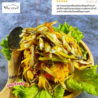 ปลาซิวอบสุกรสจืด ซองใหญ่ 2 ซอง (แพ็ค240 กรัม 2ซอง) คัดคุณภาพ ส่งฟรี ปลาแห้ง ปลาแก้ว ปลาแก้วอบกรอบ phurice {สินค้าพ