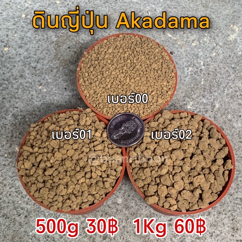 ดินญี่ปุ่น Akadama ราคาโรงงาน