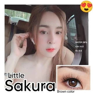 💟 Sakura ( Edge NaKed ) brown gray -00 ถึง -1000 Pitchylens Sweety plus Prettydoll สายตา Contactlens คอนแทคเลนส์.