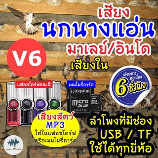 (MP3 เสียงต่อสัตว์) เสียงนกแอ่นอินโด-เสียงใน V.6 [6ชั่วโมง] ใส่เมม/แฟลชไดร์ฟ มีเก็บเงินปลายทาง ชัดเข้าไว100% ไม่มีโฆษณา