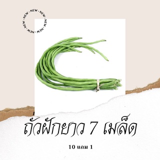 เมล็ด ขายดี/เมล็ดพันธุ์ผัก ถั่วฝักยาว 7เมล็ด 10แถม1 คละได้ ปลูกง่ายโตไว/อินทรีย์ คละ สวนครัว ดอก UD2B