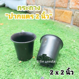 กระถาง ปากแตร ก.กลม 2 นิ้ว // กด 12 ใบ 20 บาท -- กระถางแคคตัส กระบองเพชร กระถางพลาสติก