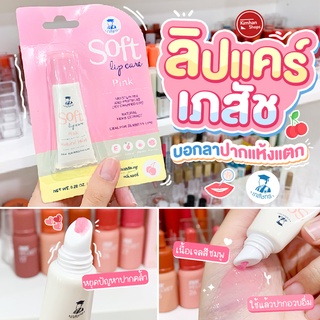 เภสัชกร Soft Lip Care ปากนุ่มมมละมุน