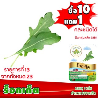 [ซื้อ10แถม1 + ฟรีคู่มือ] เมล็ดพันธุ์ ร็อกเก็ต ROCKET (1 กรัม 500 เมล็ด) ทำมะชาดฟาร์ม  ผักสลัด เมล็ดพันธุ์สลัด เมล็ดสลัด