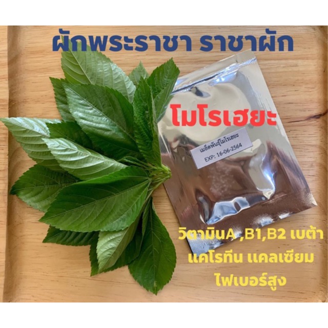 เมล็ดพันธุ์โมโรเฮยะ ราชาผัก 1000+เมล็ด 40 บาท