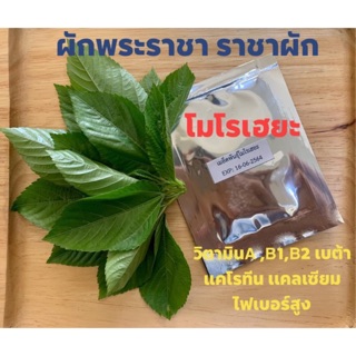 เมล็ดพันธุ์โมโรเฮยะ ราชาผัก 1000+เมล็ด 40 บาท