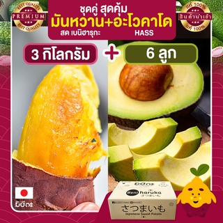 มันหวาน 3 กก. มันหวานญี่ปุ่น + อะโวคาโด 6 ลูก อะโวคาโดสด อะโวคาโด้ อะโวคาโดแฮส Avocado hass อาโวคาโด มันญี่ปุ่น