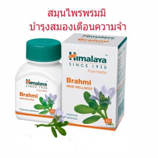 สมุนไพรพรมมิ ช่วยบำรุงสมองให้แข็งเแรง เพิ่มความจำและสมาธิ ลดการขี้ลืม Himalaya Brahmi