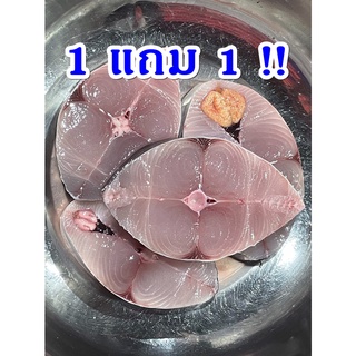 } 1 แถม 1 {  ปลาอินทรีย์แว่น🐟🐟