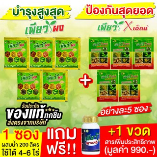 ชุดแก้ต้นโทรม บำรุง พืชเขียว สมบูรณ์ แข็งแรง เพิ่มผลผลิต เพียวผง+เพียวเอ็กว์ +ฟรีเพียวพาวเวอร์ เกษตรอินทรีย์