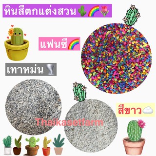 หินสีโรยหน้ากระถาง  หินตกแต่งสวน หินเกล็ด หินสี  กระบองเพชร หินแคคตัส 🌈💕🌵