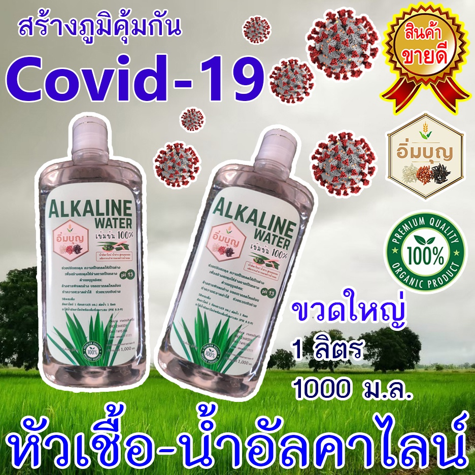 น้ำอัลคาไลน์ น้ำด่าง PH.13 (ขวดใหญ่ 1000 มล.) Alkaline Water (เข้มข้น) หัวเชื้อผสมน้ำ กรดไหลย้อน ท้องอืด