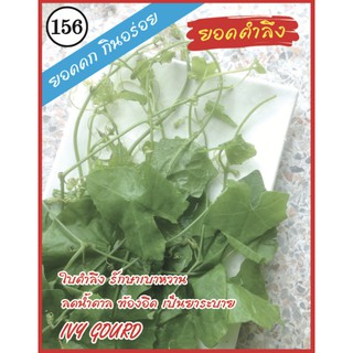 AAA 🇹🇭 ผักซอง A156# ยอดตำลึง เมล็ดพันธุ์ เมล็ดพันธุ์ผัก เมล็ดพันธุ์ ผักสวนครัว ตราAAA สามเอ