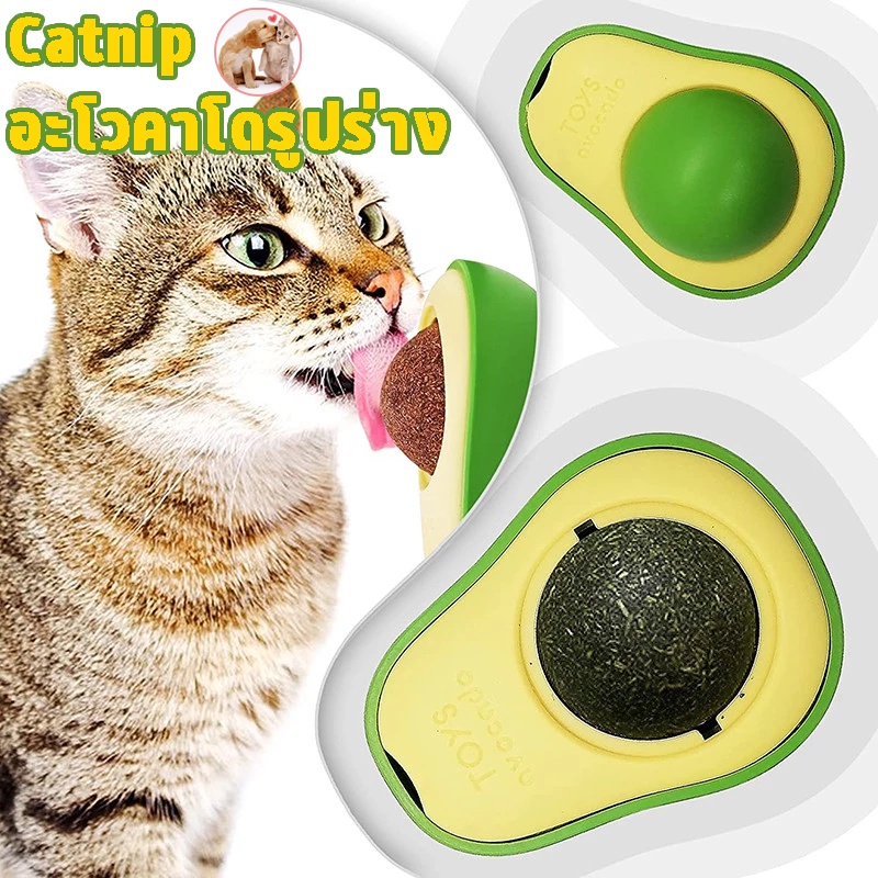 COD Catnip แคทนิปบอล หญ้าชนิดหนึ่ง ติดกำแพง ของเล่นแคทนิป อะโวคาโดรูปร่าง หญ้าแมว หีชอบเลีย
