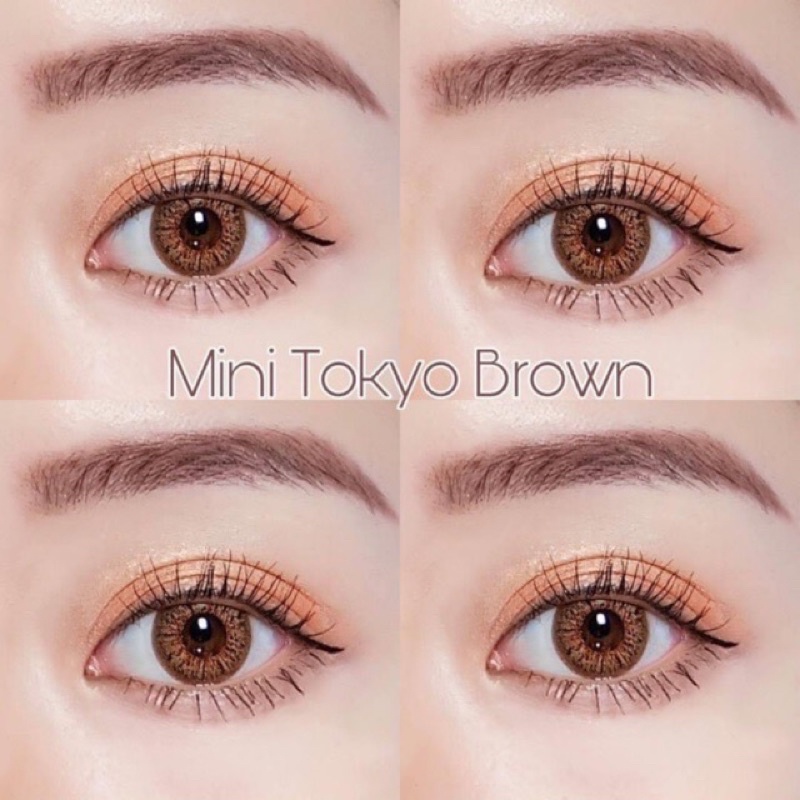 🦄🌈Dreamcolor I Mini Tokyo Gray / Brown 0.00-5.00 มีเก็บปลายทาง - รูปที่ 2