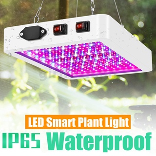 โคมไฟปลูกพืชไฮโดรโปนิก LED 8000W