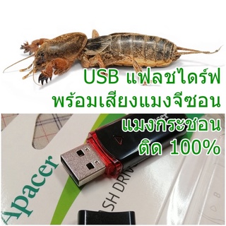 เสียงแมงจีซอน เสียงจิ้งหรีดพร้อมแมงจีซอน เสียงแมงกระชอน กีซอน ใส่ใน usb พร้อมใช้ ติด 100% ขายดี