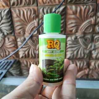 RQ ANTI ALGAE กำจัดตะไคร่เขียว30มล