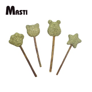 MASTI Catnip Balls Cat Lollipops ขนมแมว ของเล่นแมว เพ็ทกราส ฟันกรามสัตว์เลี้ยงLI0095