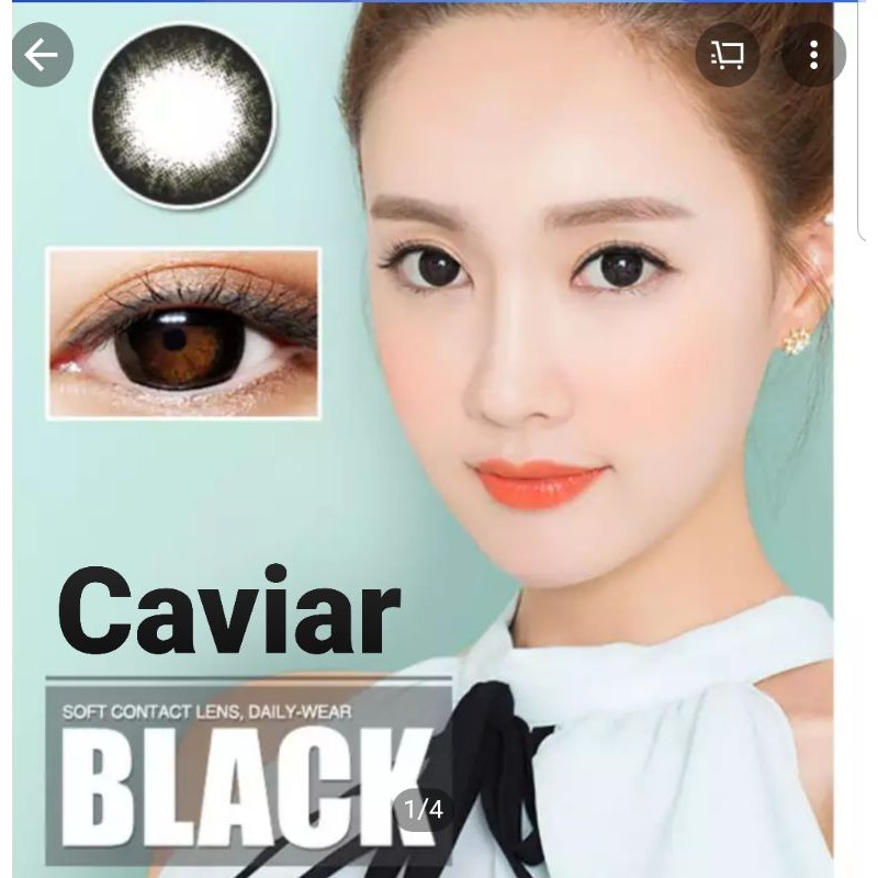 💟 Caviar /Clavier ( Niky ) Pitchylens Sweety plus brown gray black Contactlens บิ๊กอาย คอนแทคเลนส์ ราคาถูก แถมตลับฟรี