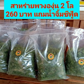 สาหร่ายพวงองุ่น ออแกนิค  2 กิโลกรัม พร้อม น้ำจิ้มซีฟู๊ด 260 บาท ร้าน ณรงค์ ฟาร์ม สาหร่ายพวงองุ่น