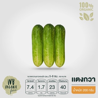 WB Organic Farm แตงกวา ผักสลัด ผักสด มาตรฐานออร์แกนิค IFOAM ปลอดสารพิษ 100%  เก็บใหม่ทุกออเดอร์ เก็บ-แพ็ค-ส่งตรงจากฟาร์ม