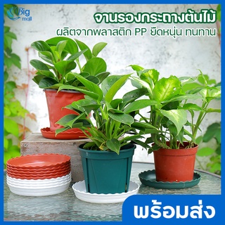 Bigmall จานรองกระถางต้นไม้ ถาดรองกระถางต้นไม้ กระถางต้นไม้ ถาดรองกระถาง วัสดุ PP ยืดหยุ่น ทนทาน