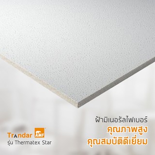 ฝ้าอะคูสติก แทรนดาร์ สตาร์ (Trandar รุ่น Star) ขายเป็นกล่อง