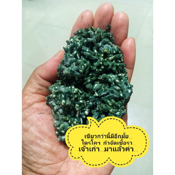 ไตรโคเดอร์มา​**เชื้อ​สด** 250 กรัม "แพคสุญญากาศ" **ขายเหมือนแจก** ไม่เขียว ไม่สวย เคลมได้ทุกถุงจร้า...