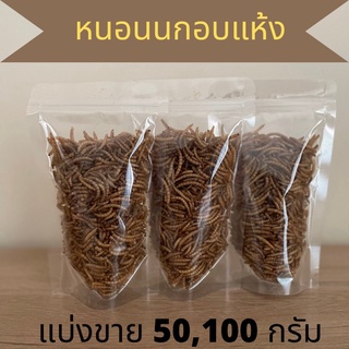 หนอกนกอบแห้ง หนอนนก Mealworm อาหารหนูแฮมเตอร์ อาหารนก