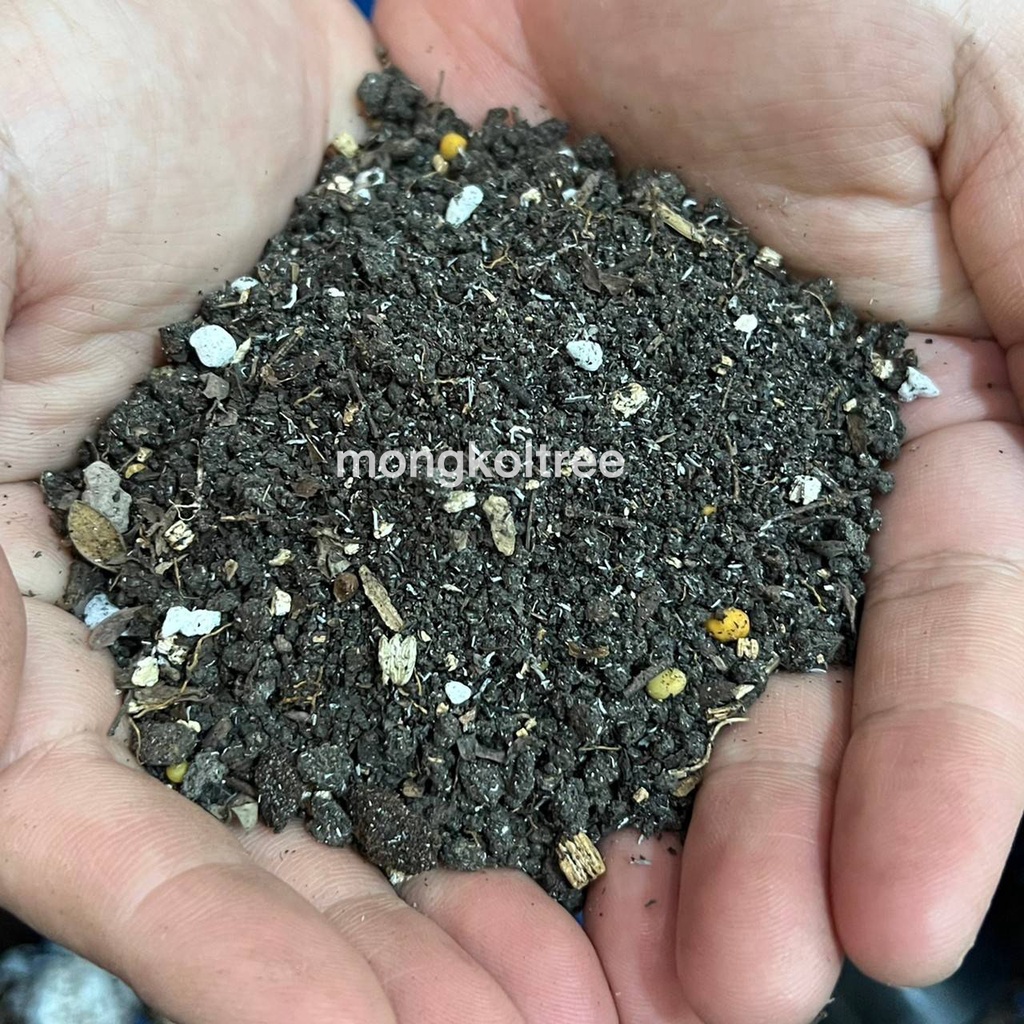 (แถมฟรี! สตาเกิลจี) ดินปลูกแคคตัส ขนาด 1 กก. ดินกระบองเพชร ไม้อวบน้ำ ผสมสำเร็จพร้อมปลูก สูตรเร่งดอก ต้นอวบ   ดินผสมใหม่ ราคา ถูกที่สุด ดีลบีเคเค แกลเลอรีภาพที่ 3