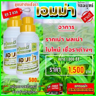 🔥🔥 ส่งฟรี 🔥🔥เอมม่า ปุ๋ยน้ำเอมม่า ( 500 ซีซี  2 ขวด) ป้องกันการเกิดเชื้อราในพืช ปุ๋ยน้ำสูตรเข้มข้น เพิ่มความแข็งแรงพืช