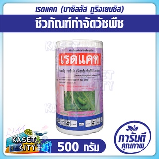 เรดแคท แบคทีเรียบาซิลลัส ทุริงเยนซีส 500 กรัม (Bacillus thuringiensis var.kurstaki) ยาเชื้อชีวภัณฑ์ สารชีวภาพ