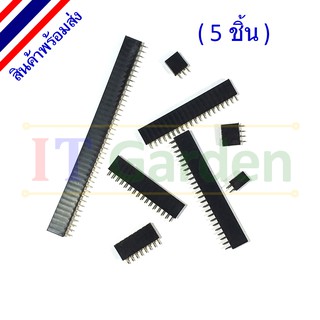 Single row Female pin header ขั้วต่อแถวเดียว ลง PCB 2.54mm 2-24 pin (5 ชิ้น)