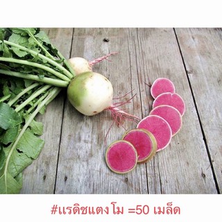 เมล็ดพันธุ์ แรดิช แตงโม ( Water Melon Radish Seed ) บรรจุ 50 เมล็ด คุณภาพดี ราคาถูก