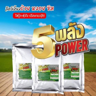 5 พลัง สมุนไพรต้านเชื้อไวรัส สำหรับฟาร์มไก่ชน
