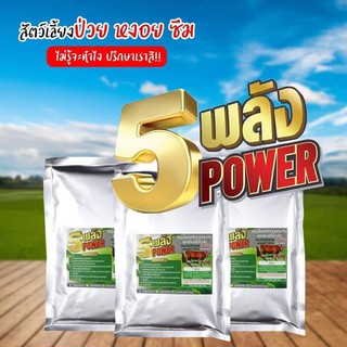 5 พลัง สมุนไพรต้านเชื้อไวรัส สำหรับฟาร์มไก่ชน