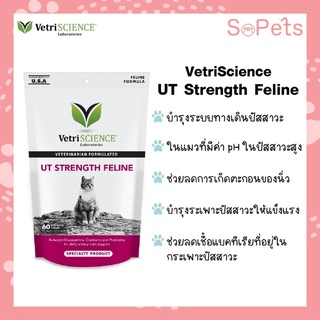 VetriSCIENCE UT Strength Feline 60 Chews บำรุงระบบทางเดินปัสสาวะแมว ปัสสาวะยาก นิ่ว