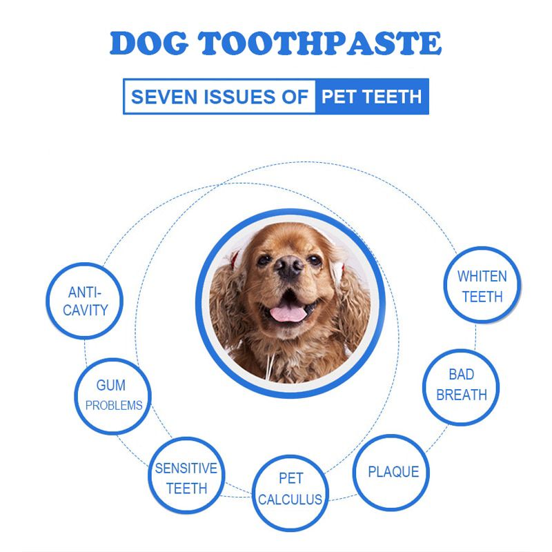 Bioline ยาสีฟันสำหรับสุนัข ยาสีฟันแมว ยาสีฟันสุนัข แปรงสีฟันสุนัข แปรงสีฟันแมว Bioline กลิ่นเปปเปอร์มิ้นท์ ขนาด 100 g. - รูปที่ 4